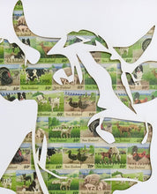 Load image into Gallery viewer, Bull