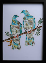 Load image into Gallery viewer, Kereru (NZ Pigeon)
