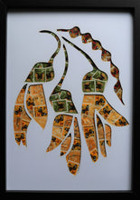 Load image into Gallery viewer, Kowhai
